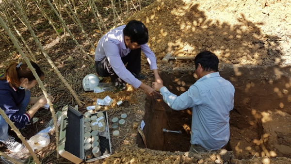 Khôi phục, cân bằng ‘sức khỏe đất' thực sự cấp bách