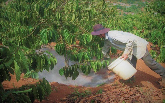 Vôi cho cây trồng
