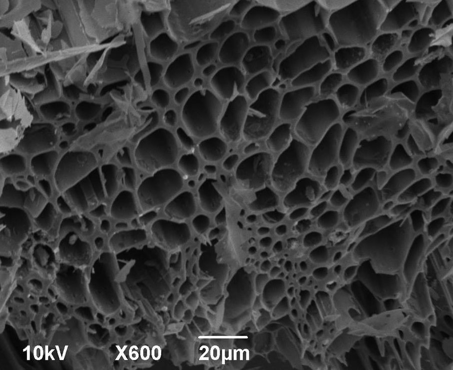 Khoáng sinh học Biochar